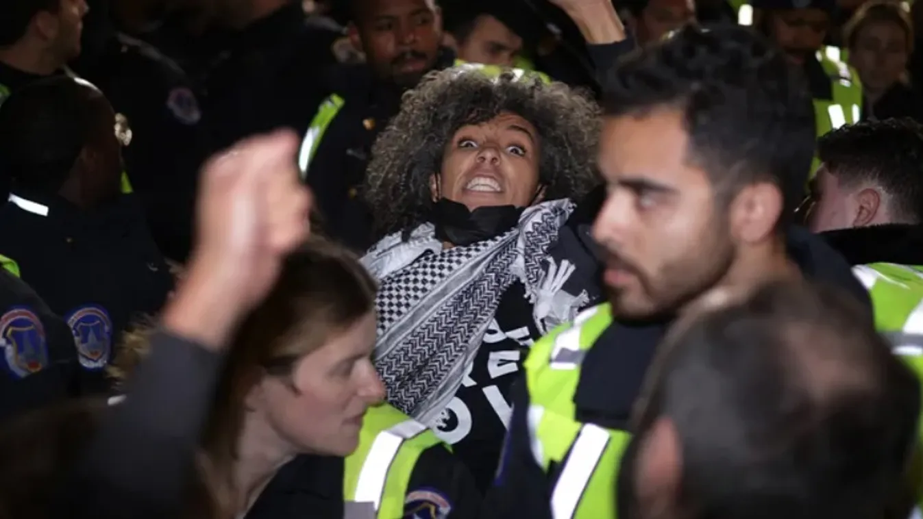 Erőszakba torkollt a palesztinbarát tüntetés Washingtonban