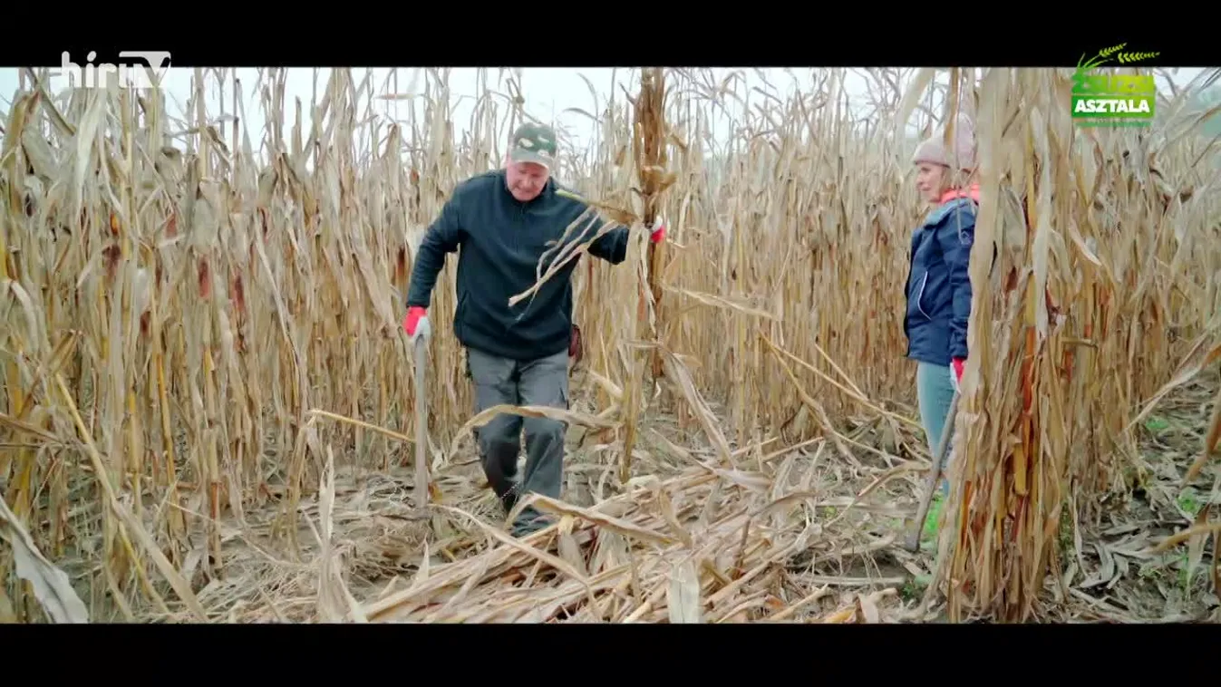 Zsuzsi asztala (2023-12-02)