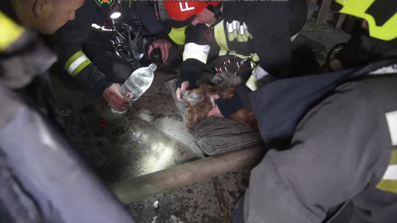 Hat embert menekítettek ki a tűzoltók egy égő társasházból + videó