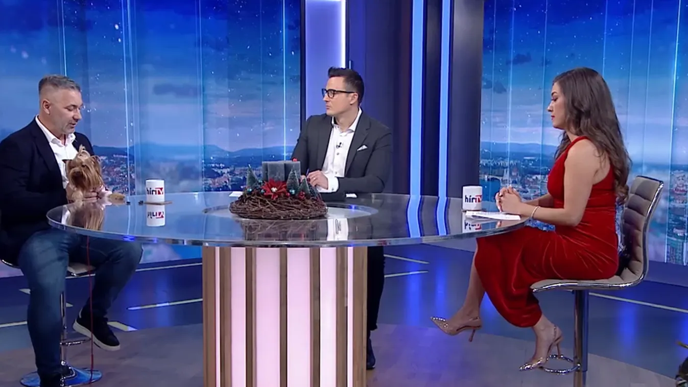 Napindító - Hogyan vigyázzunk házi kedvenceinkre a szilveszteri petárdázások alatt? + videó