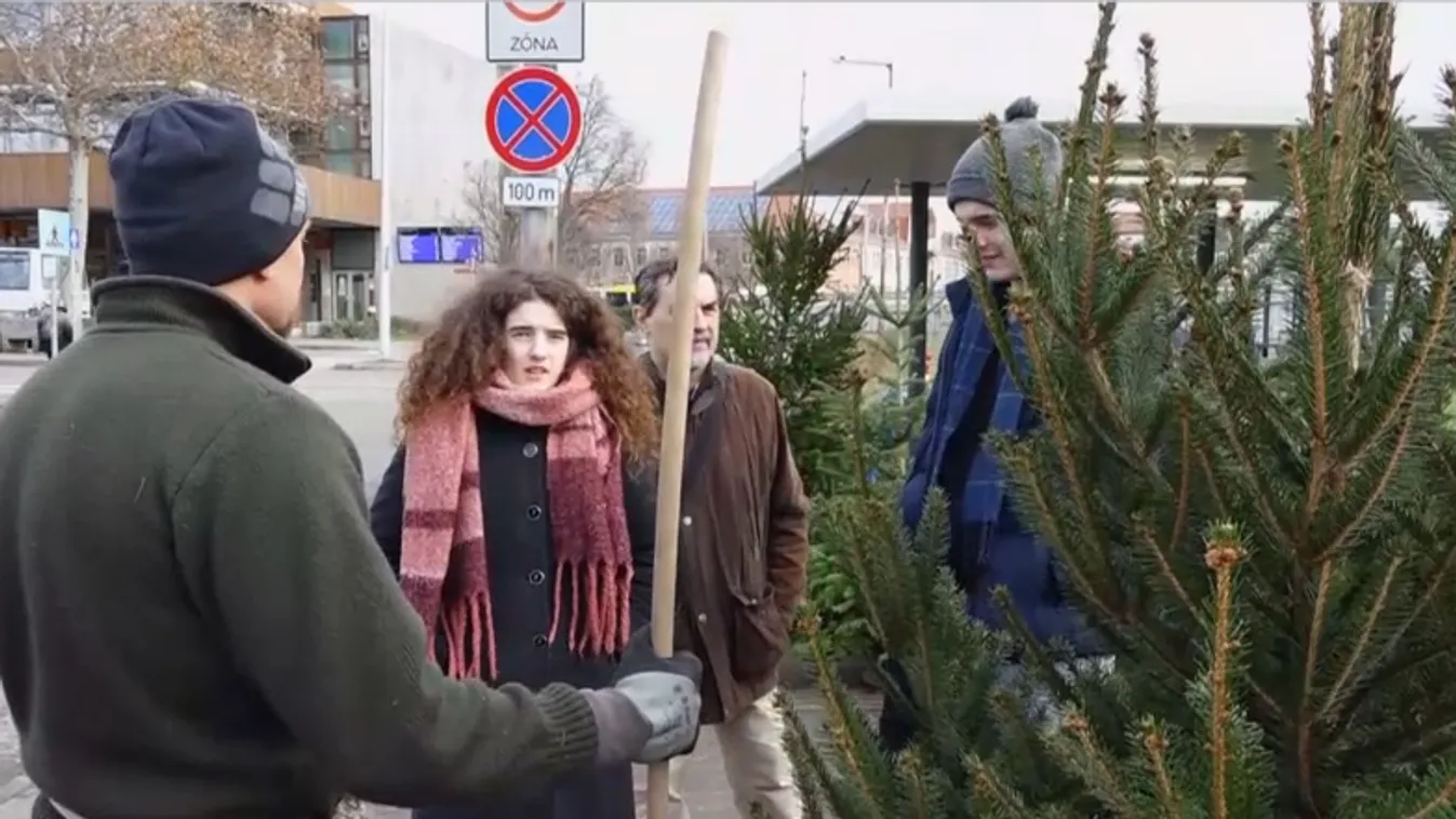 Sokan hagyták az utolsó pillanatra a fenyőfa vásárlást + videó