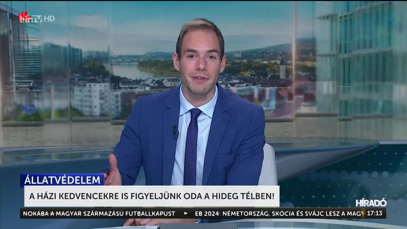 A házi kedvencekre is figyeljünk oda a hideg télben!