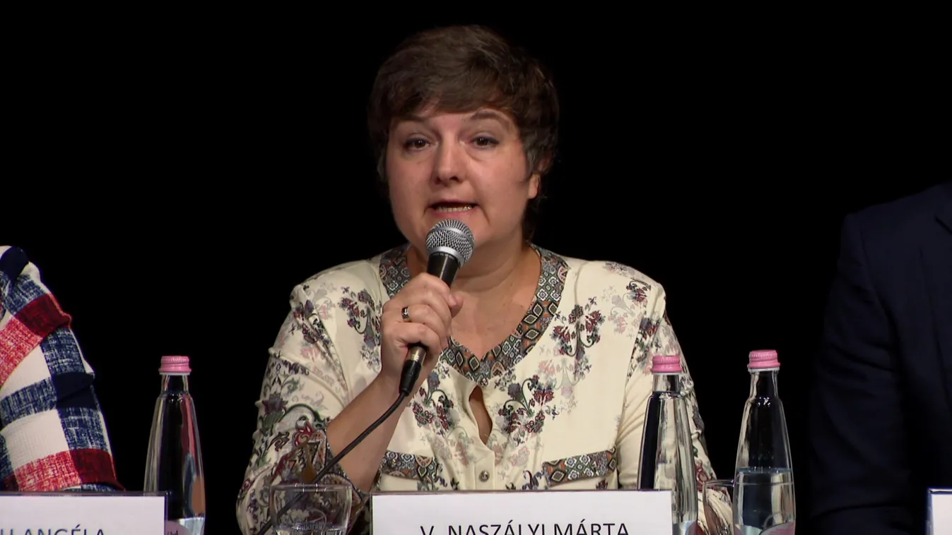 Nem tartotta be a törvényeket és még a kismamákat és babákat is cserben hagyta V. Naszályi Márta + videó