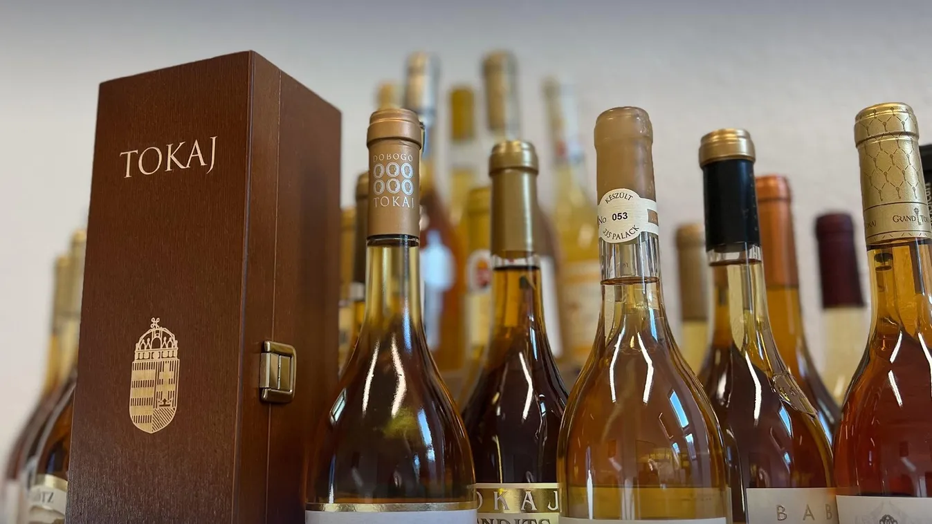 Ferenc pápa áldását adta a magyar borra