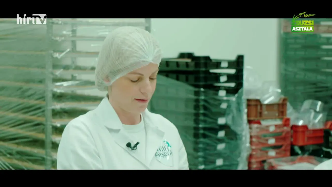 Zsuzsi asztala (2023-12-09)