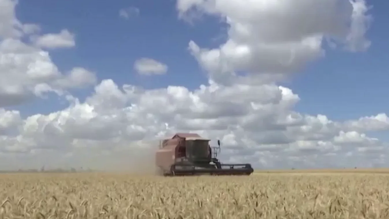 Ide vezetett a klímaaktivistáknak betudható hergelés + videó