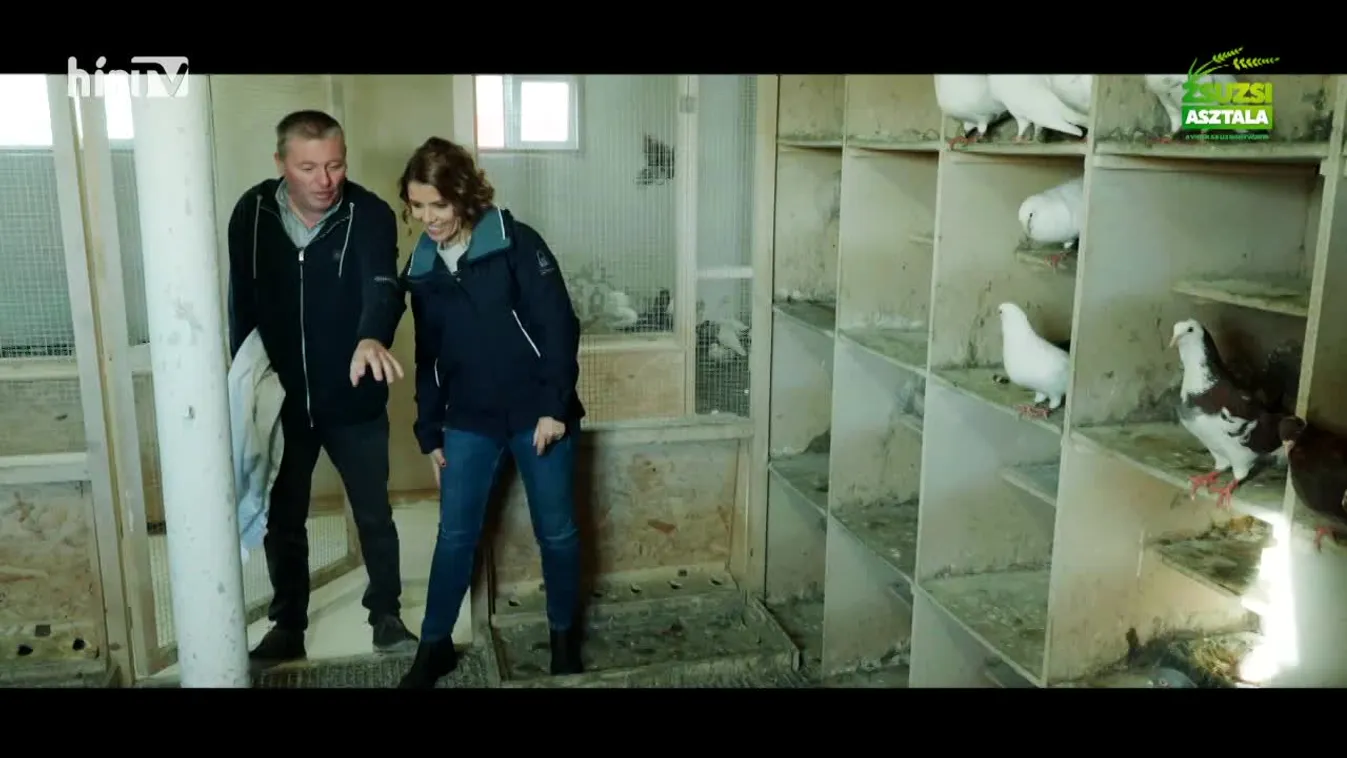 Zsuzsi asztala (2024-01-27)