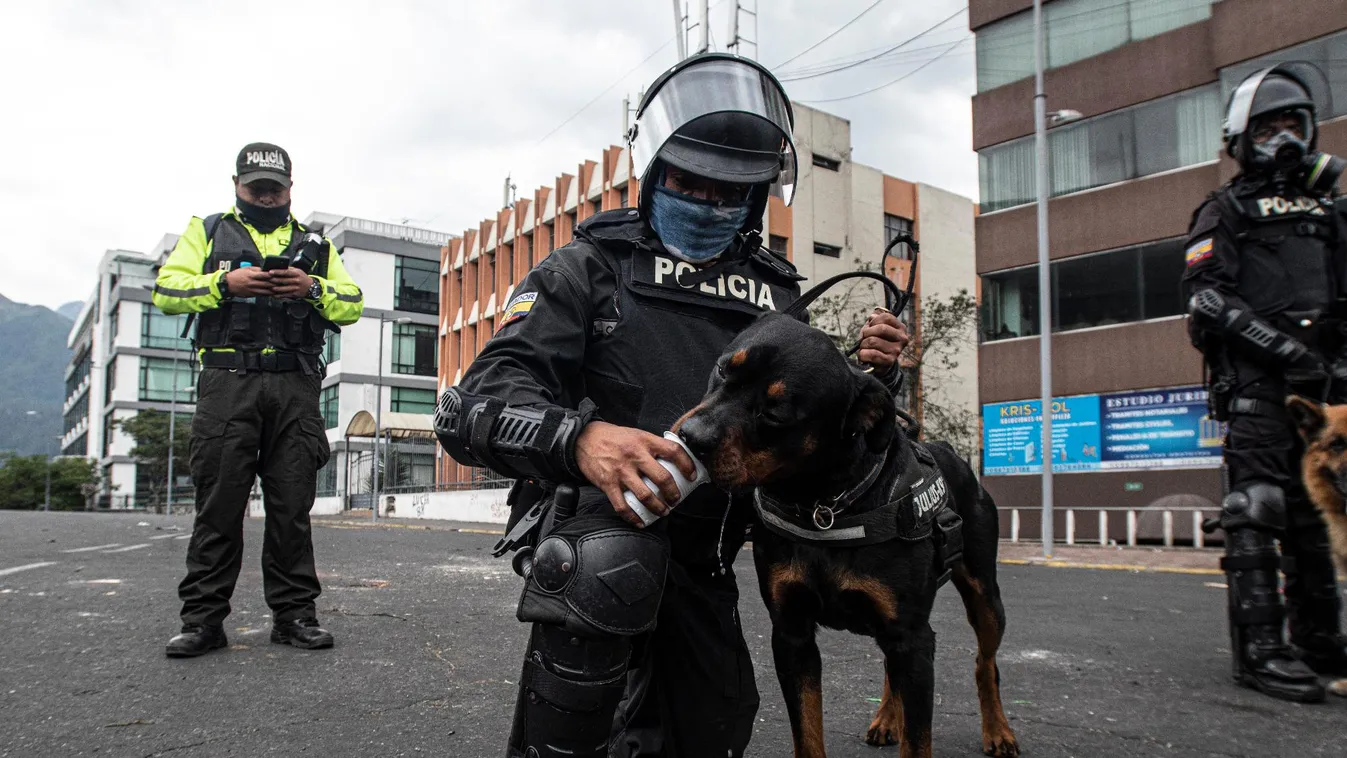 Ecuadorban több száz feltételezett bandatagot vettek őrizetbe a biztonsági erők