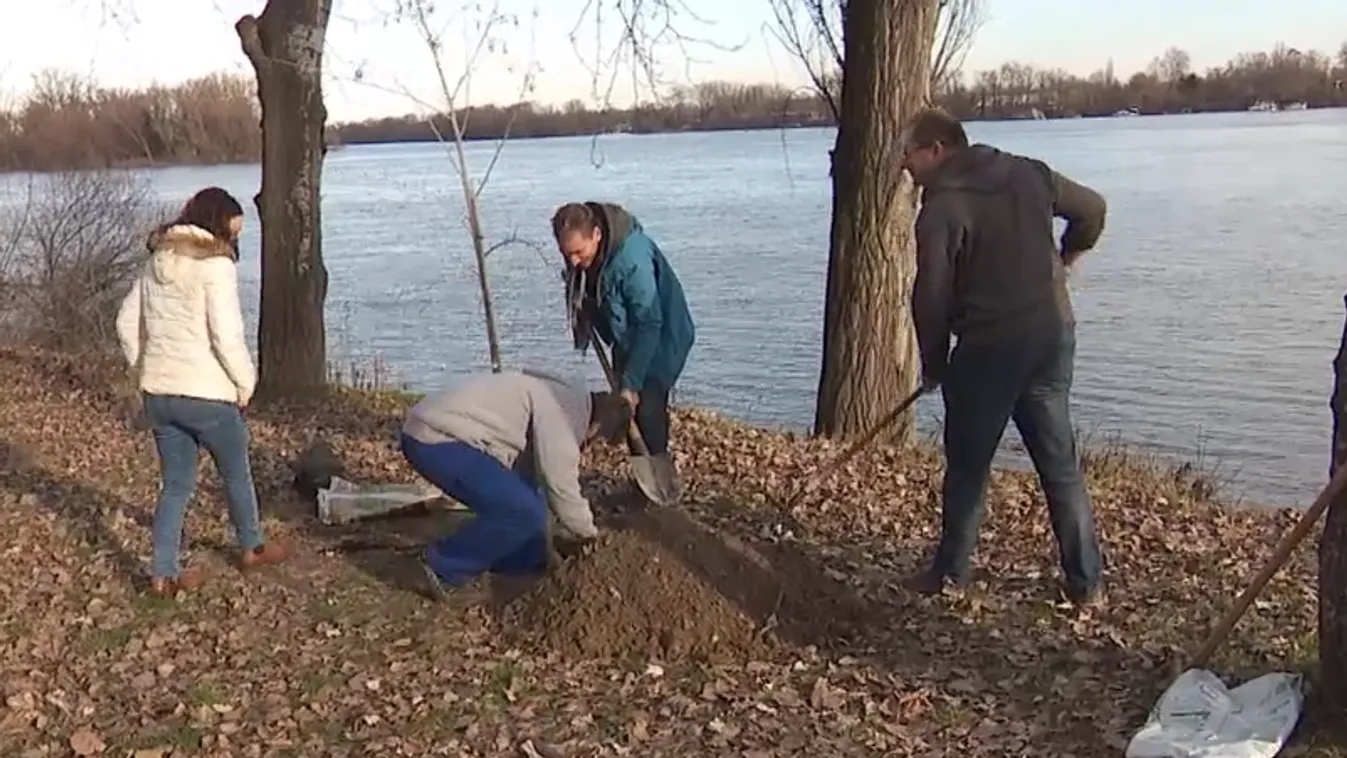 Engedély nélkül, minden szabályt felrúgva kertészkednek a Párbeszéd politikusai
