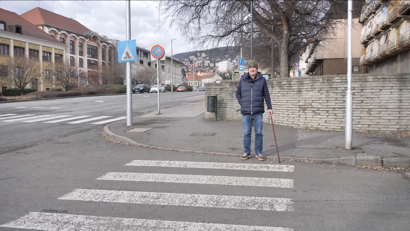 Egyenként 35 millió forintba kerül Pécsett egy új zebra + videó