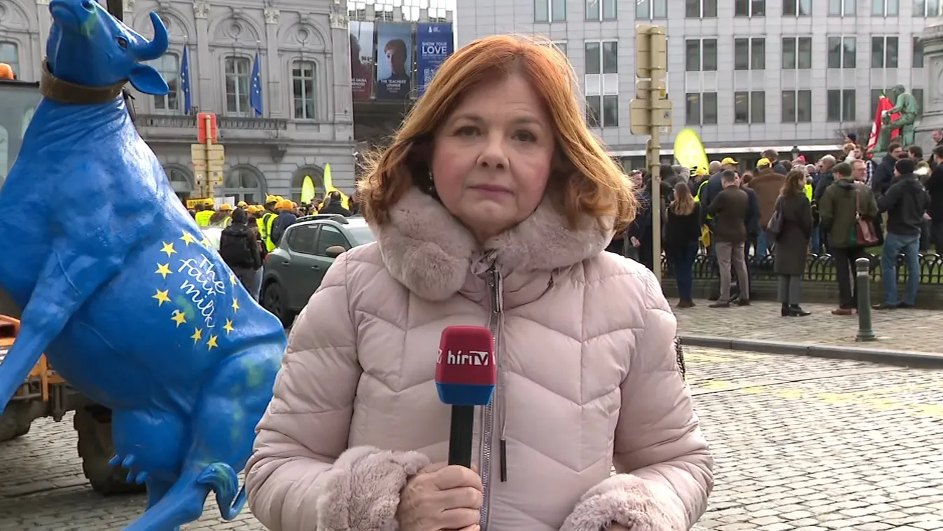 A brüsszeli parlament épülete elé szerveztek demonstrációt + videó