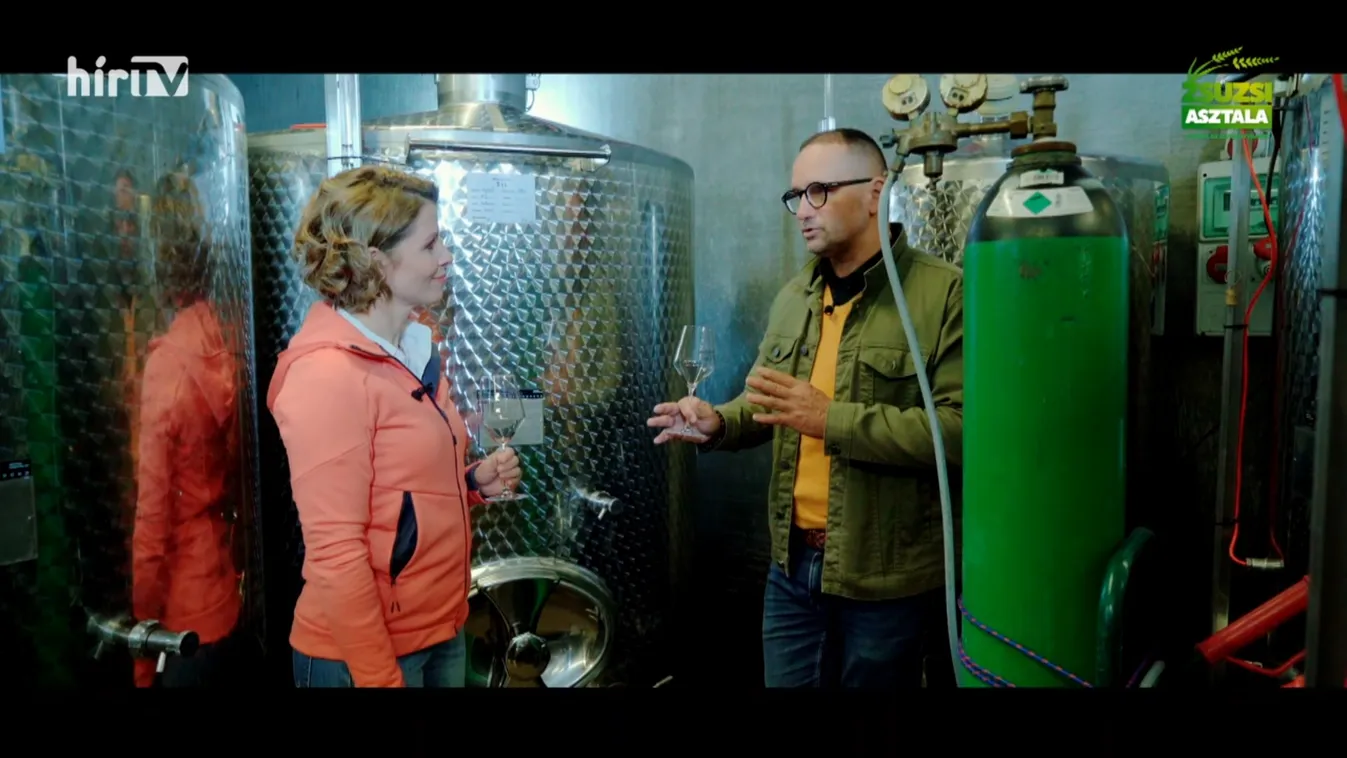 Zsuzsi asztala: Borászat a szüret után + videó