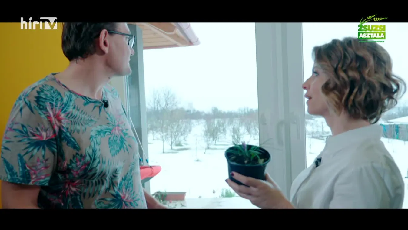 Zsuzsi asztala (2024-01-20)