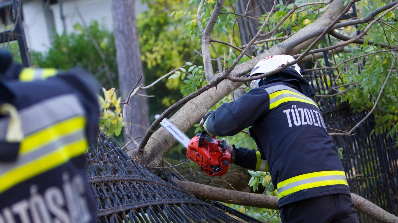 Sok munkát ad a szeles időjárás a fővárosi tűzoltóknak