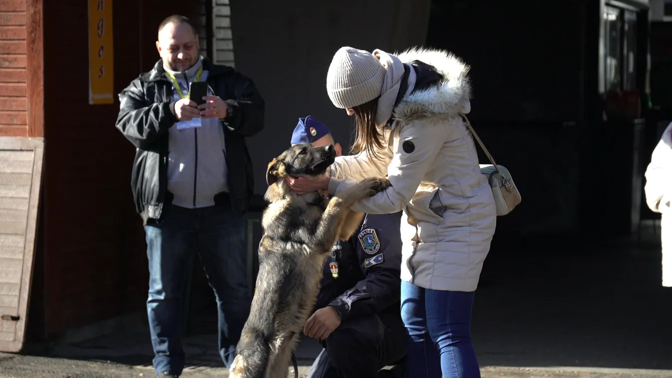 Radar – Rendőrkutyák akcióban + videó