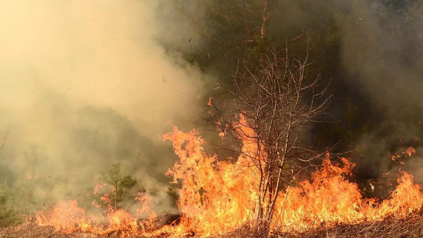 Szélsőséges időjárási viszonyokkal találkozhatunk szerte a világon + videó