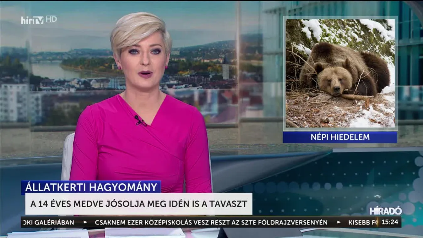 A 14 éves medve jósolja meg idén is a tavaszt