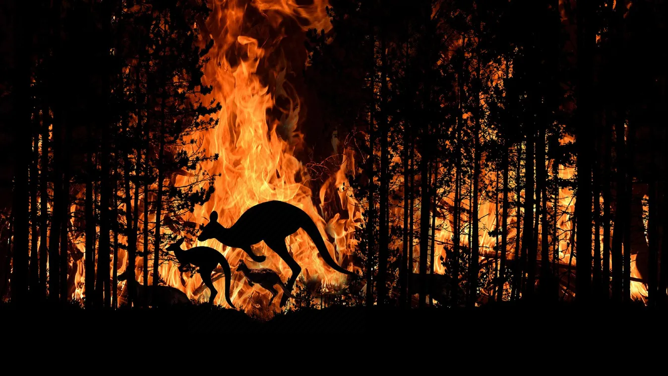 Otthonok is megsemmisültek az Ausztrália déli részén pusztító bozóttüzekben