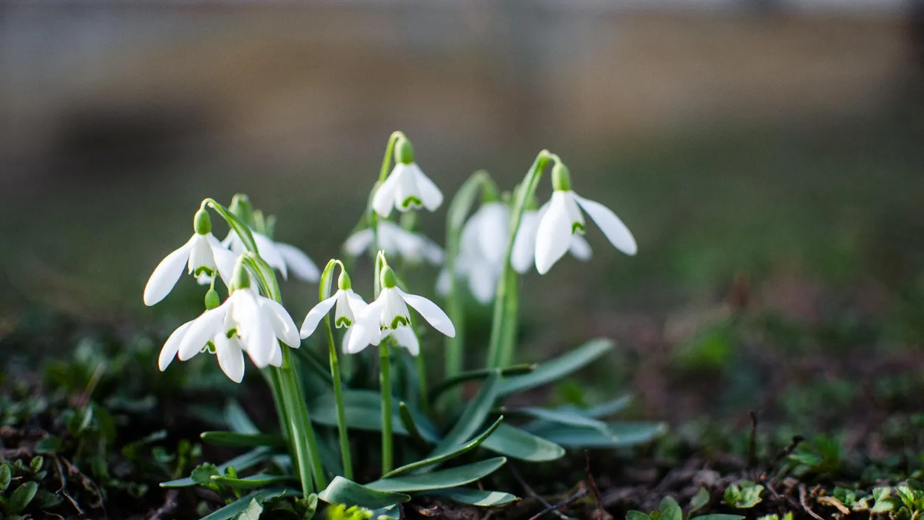 Megdőlt az országos és a fővárosi hajnali melegrekord szombaton