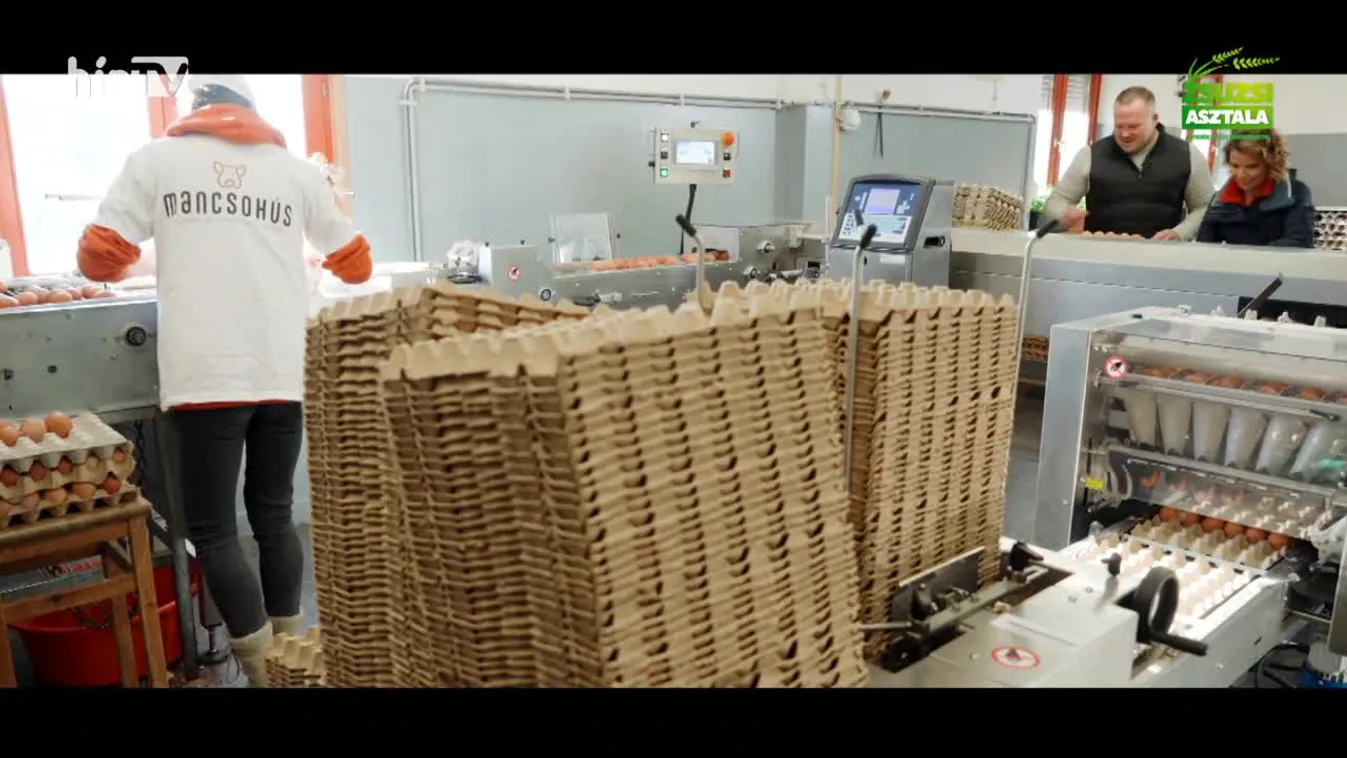 Zsuzsi asztala (2024-02-03)