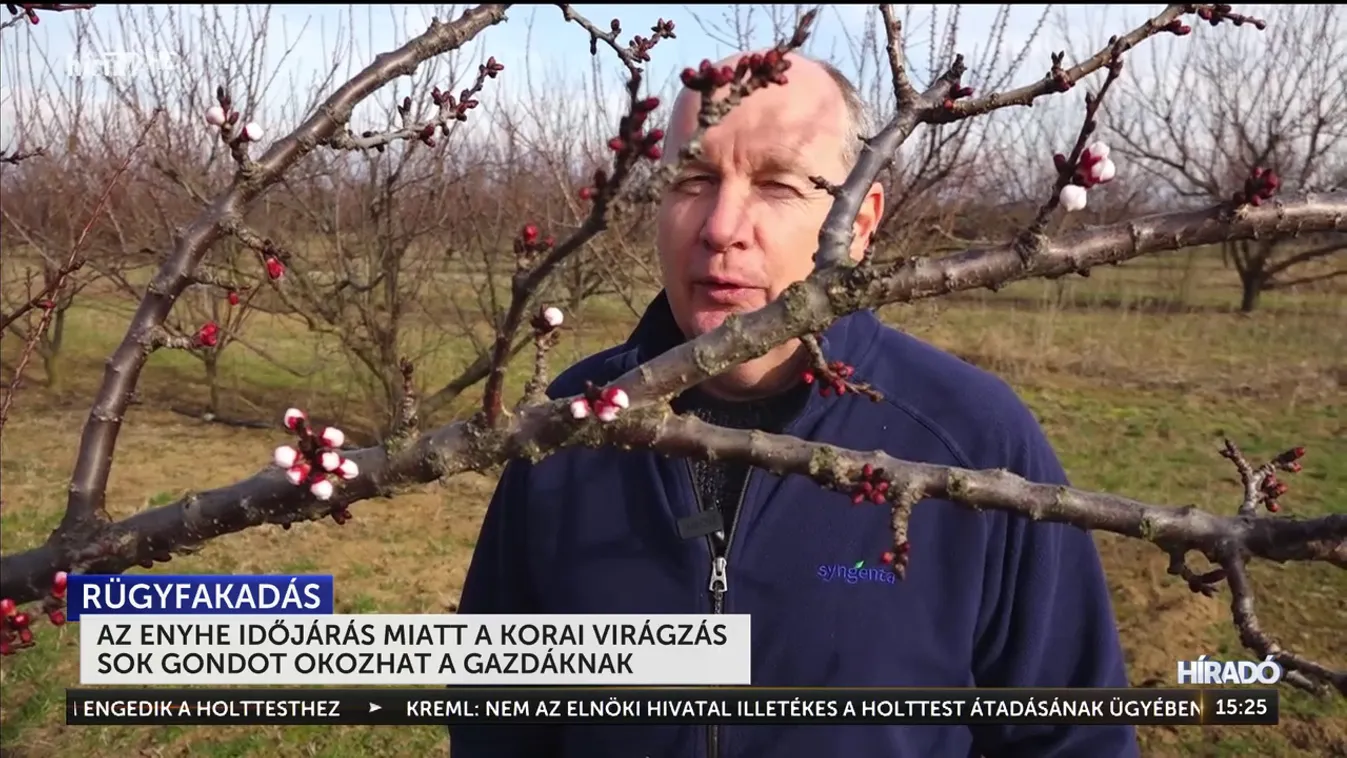 Rügyfakadás után a rügyek lefagyása fenyeget + videó