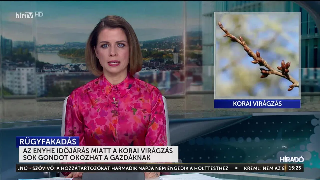 Az enyhe időjárás miatt a korai virágzás sok gondot okozhat a gazdáknak