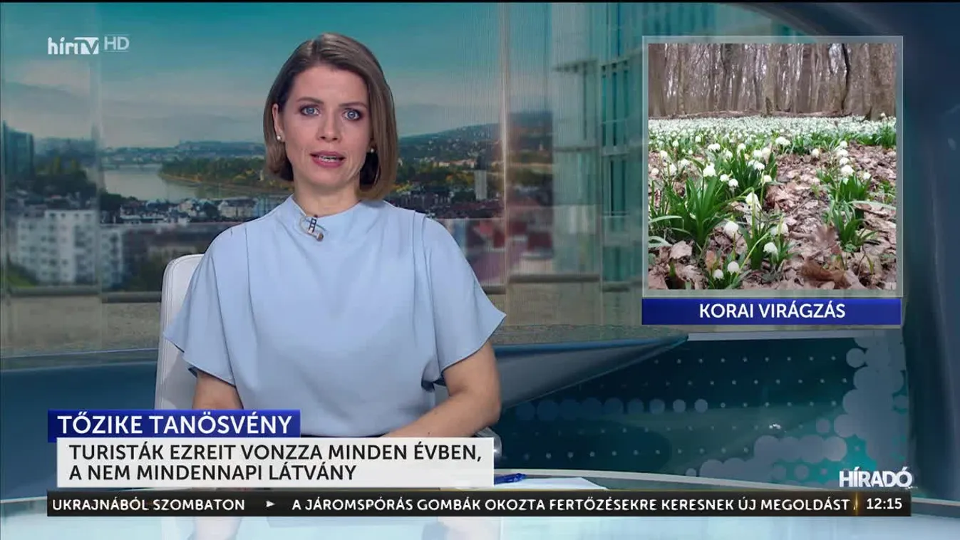 Turisták ezreit vonzza minden évben a nem mindennapi látvány