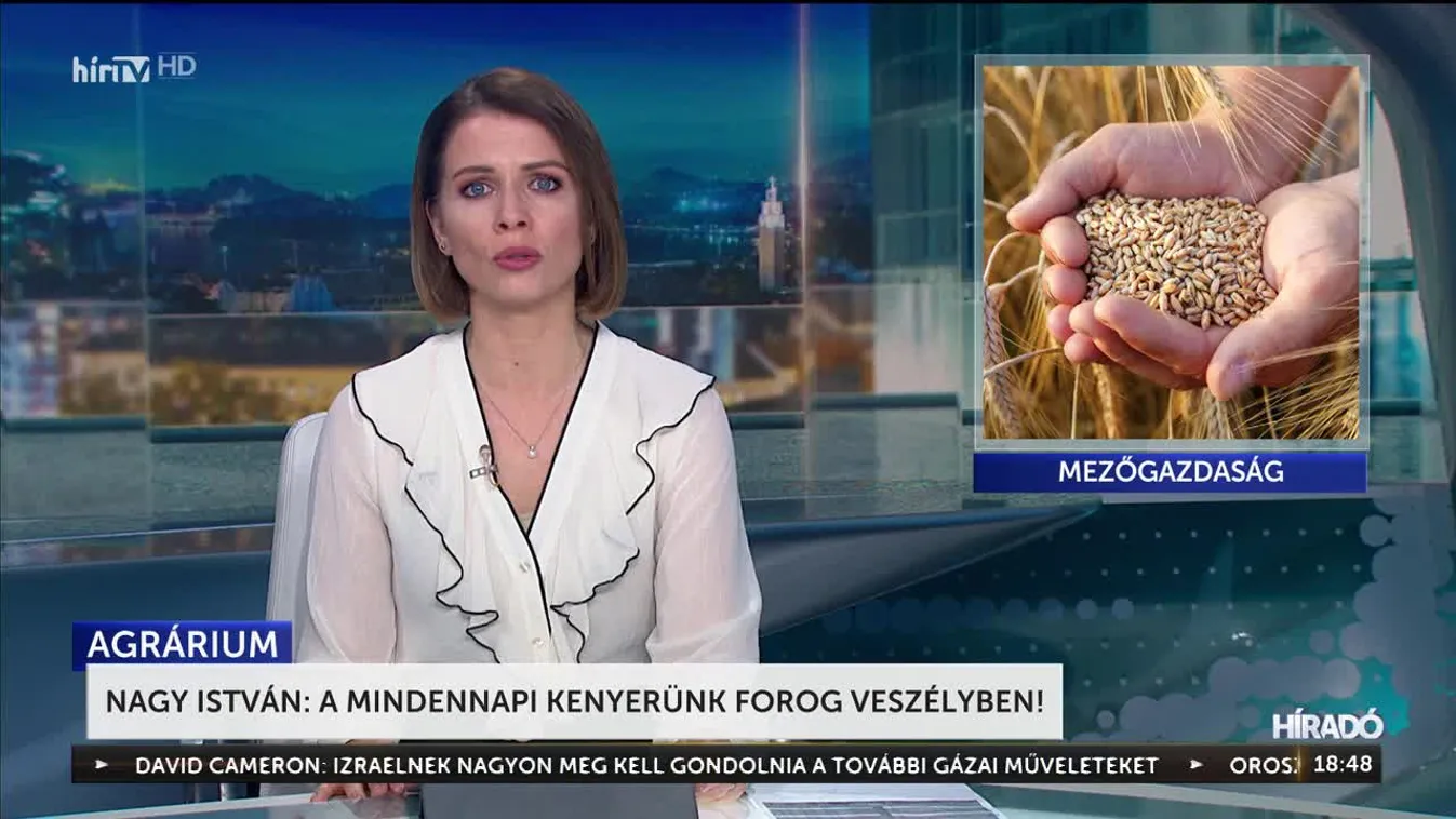 Nagy István: a mindennapi kenyerünk forog veszélyben!