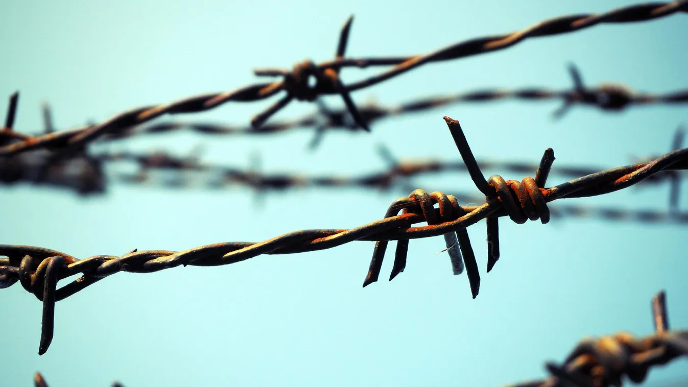 Új tanulmánykötet jelent meg a gulág- és gupvikutatásokról