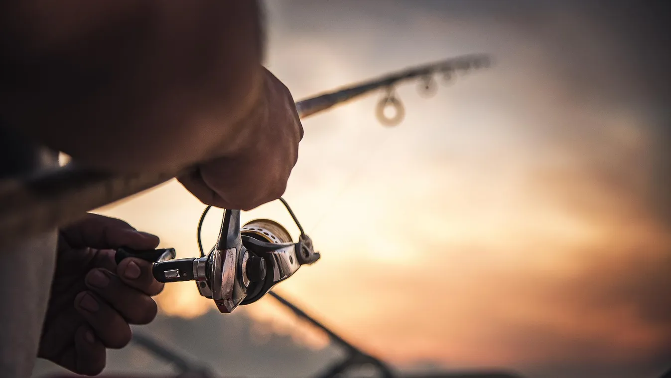 Ilyen hatalmas ponty még nem akadt horogra a Balatonnál + videó