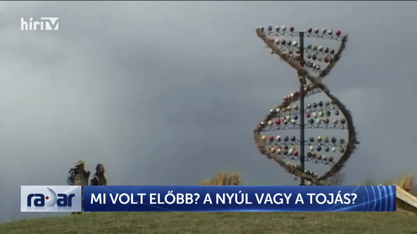 Radar - Mi volt előbb? A nyúl vagy a tojás?