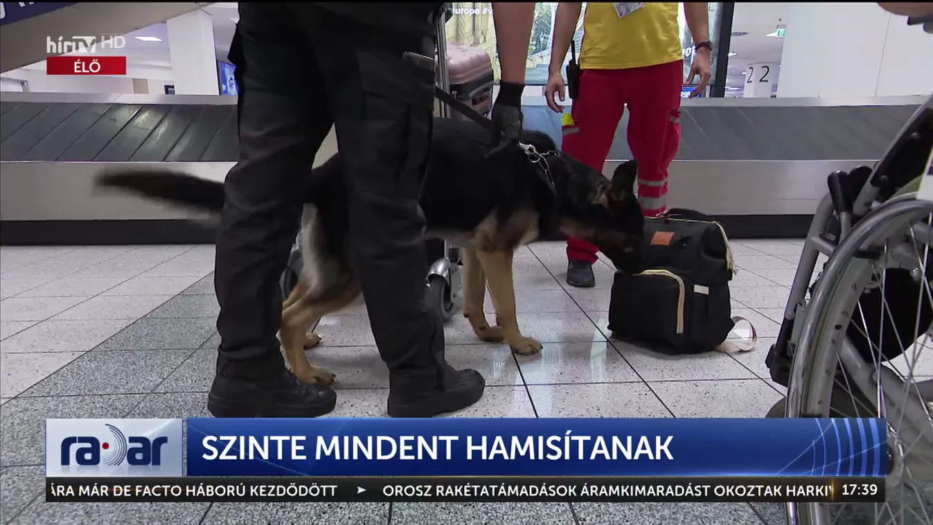 Radar – Szinte mindent hamisítanak + videó
