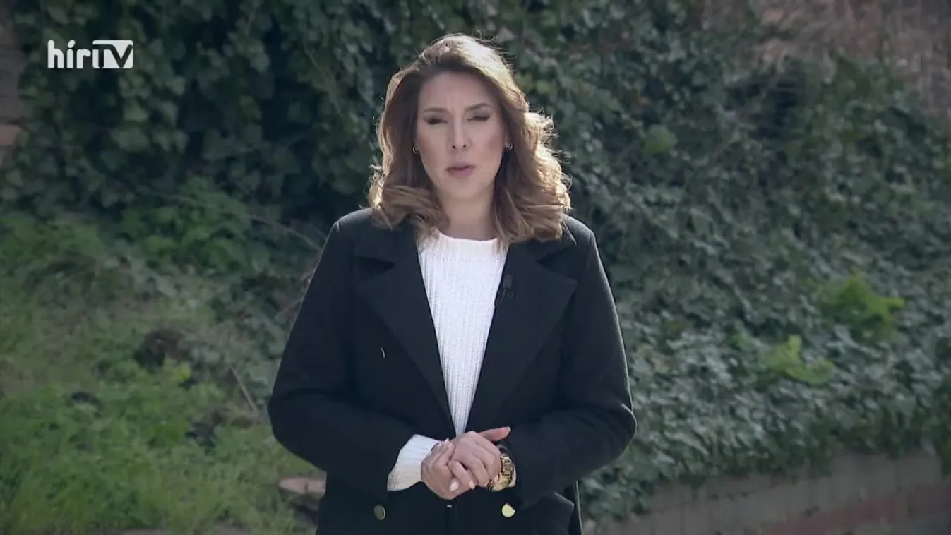 Célpont - Magyar Péter politikai pályára lép (2024-03-24)