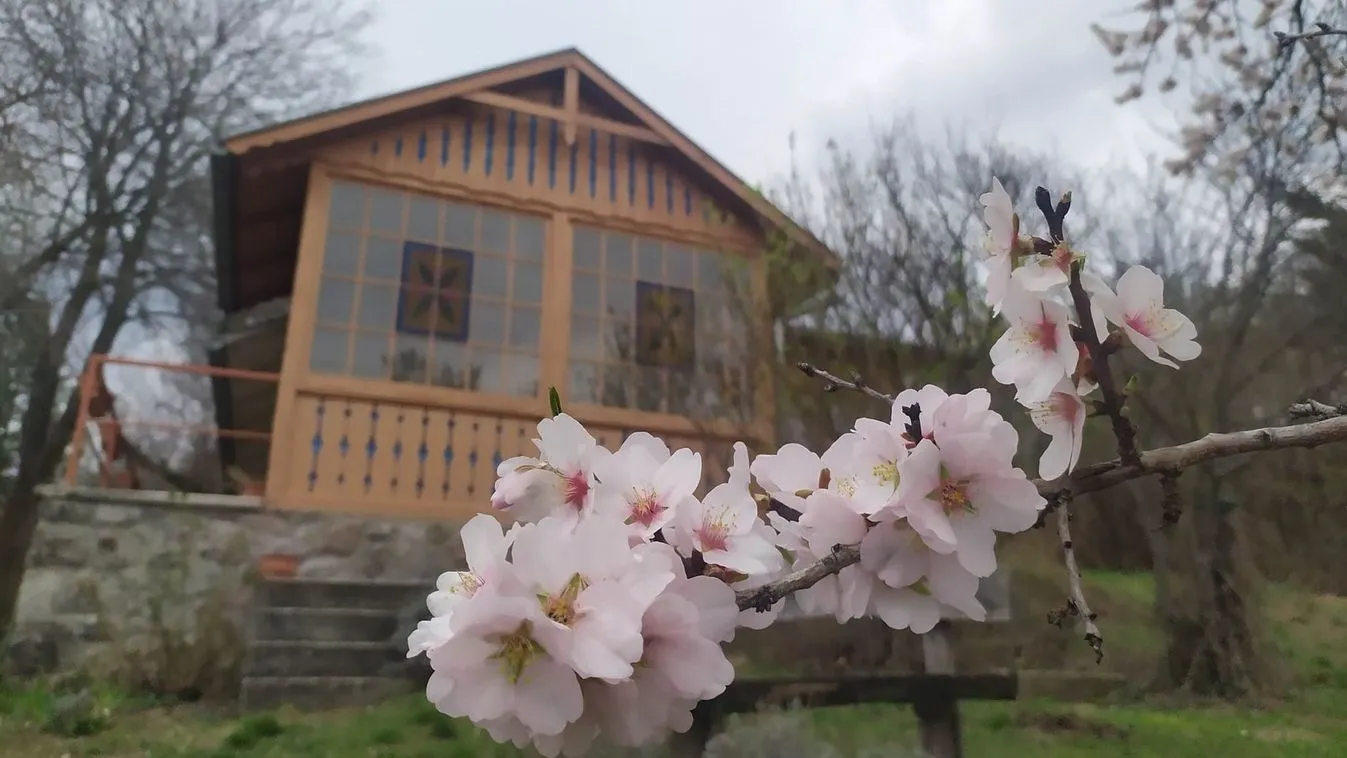 Harmadik kiadását éri meg az esztergomi Babits-antológia