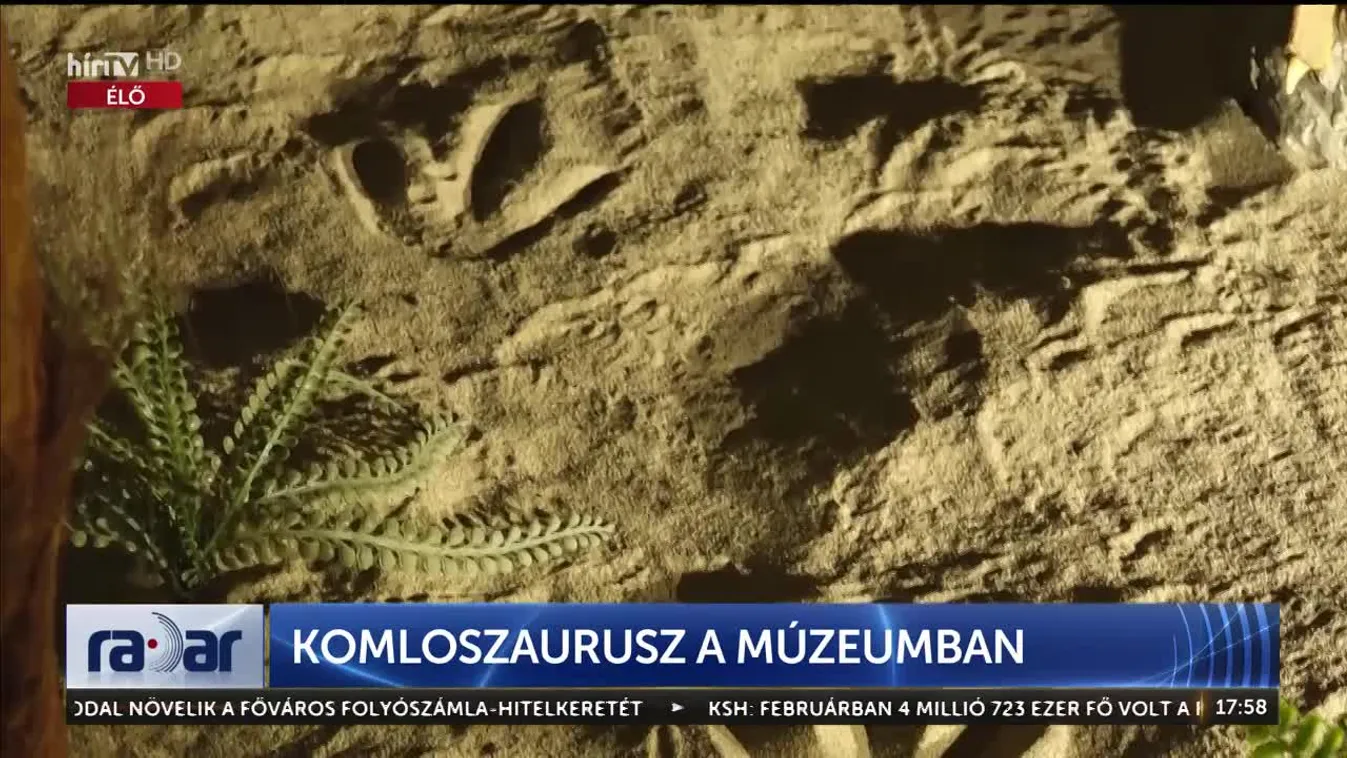 Radar - Komloszaurusz a múzeumban (2024-03-27)