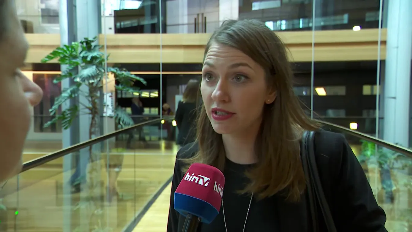 Mentelmi joga mögé bújik a momentumos elnök