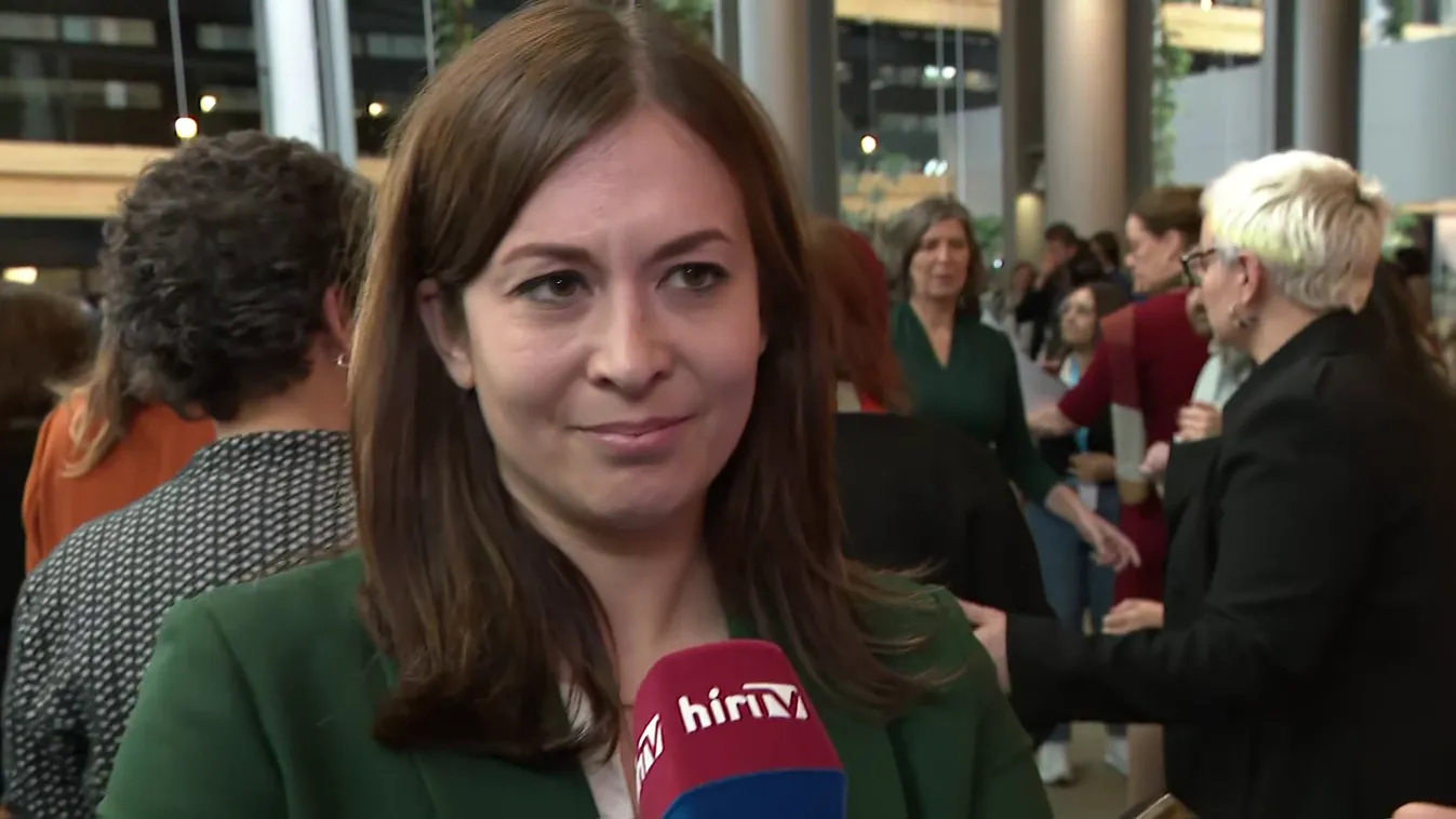 A NAV nem ok nélkül folytatott vizsgálatot Cseh Katalinék ügyében + videó