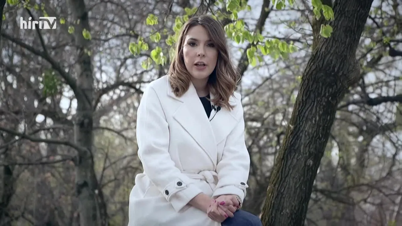 Célpont - Filmkészítés, táboroztatás, tanácsadás. többek között ilyen szerződéseket kötöttek a pedofíliával gyanúsított pedagógiai asszisztenssel