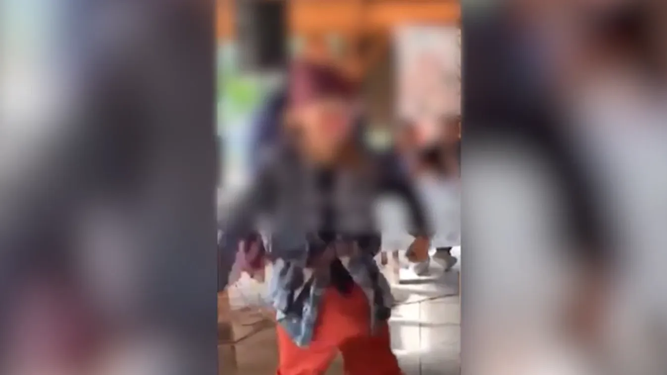 Zenés, simogatós, bebújós, sőt álló kolbászos videók a DK-hoz köthető gyermektáborban