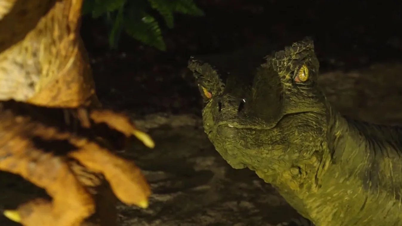 Radar - Komloszaurusz a múzeumban + videó