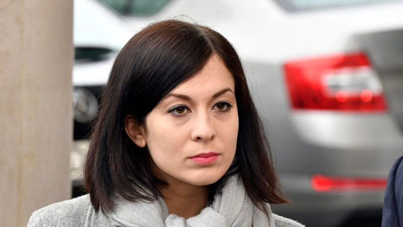 Több helyszínen is házkutatást tartott a NAV Cseh Katalinék uniós botránya miatt