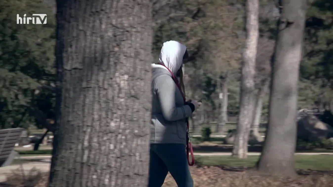 Célpont - Tiltott támogatást fogadtak el a Mindenki Magyarországa Mozgalomtól