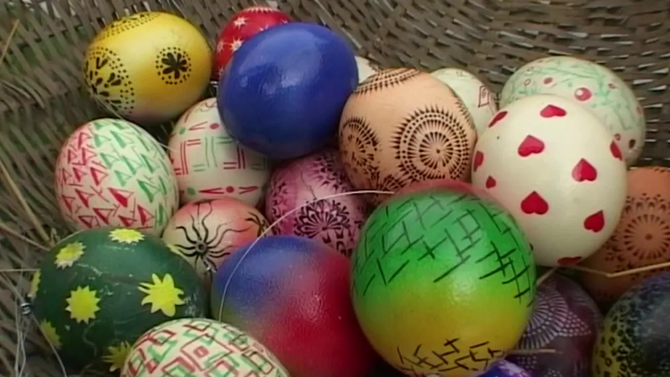 Radar - Mi volt előbb? A nyúl vagy a tojás? + videó