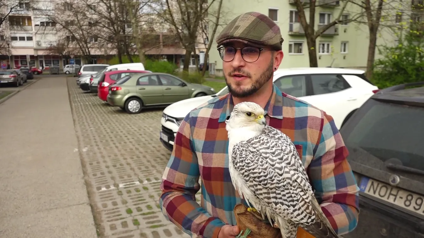 Radar – Így néz ki testközelből a ragadozómadarak célzott röptetése + videó