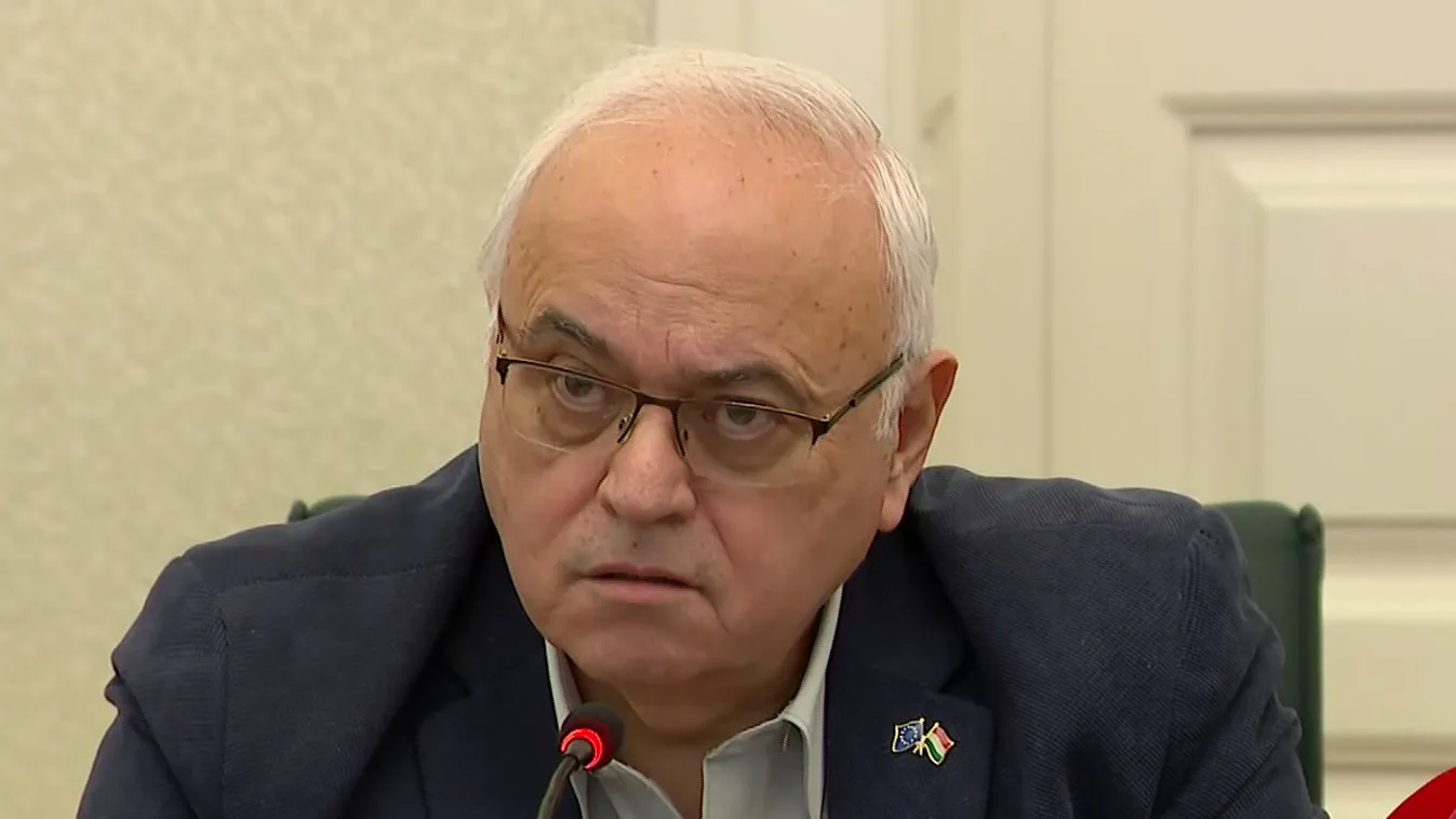 Pedofilsegítőnek nevezték Gyurcsány emberét, László Imrét + videó