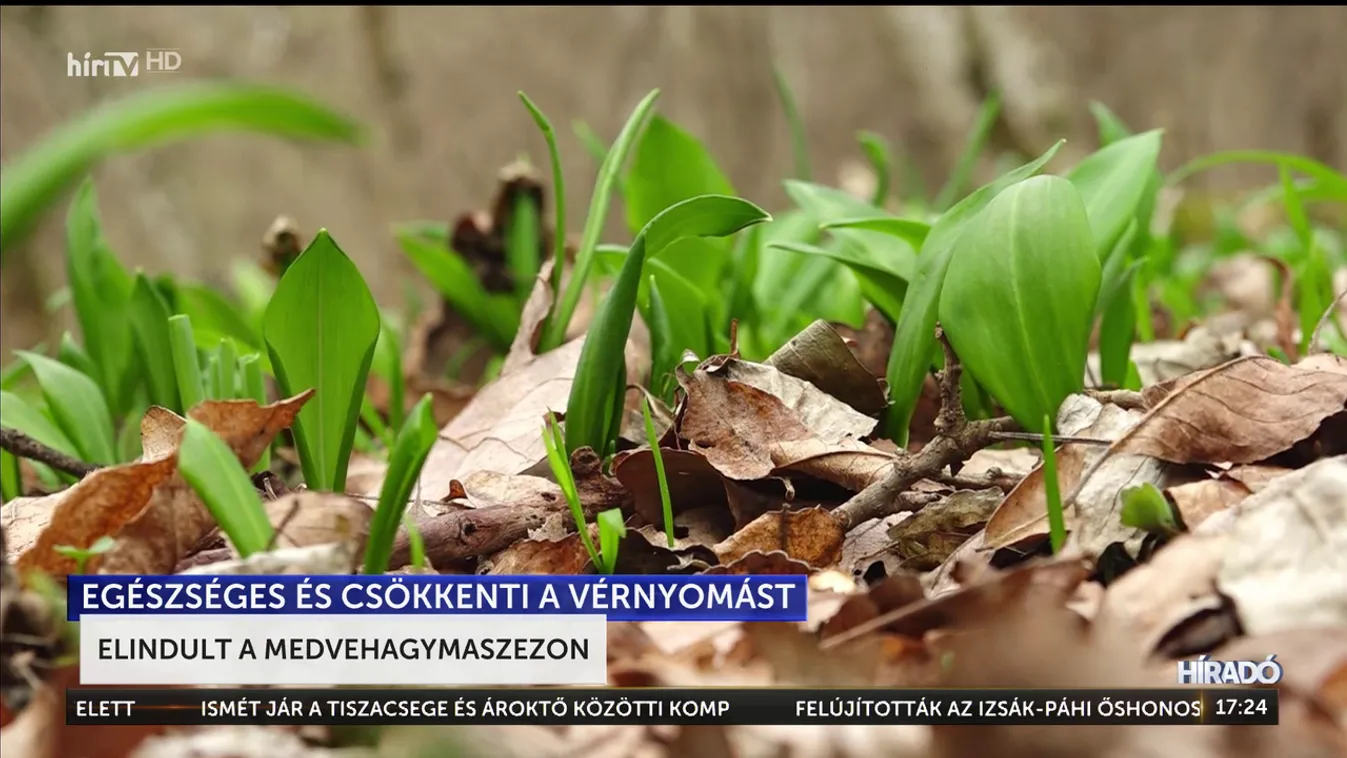 Elő- és főételként, sőt desszertként is elkészíthető! Mi az? + videó