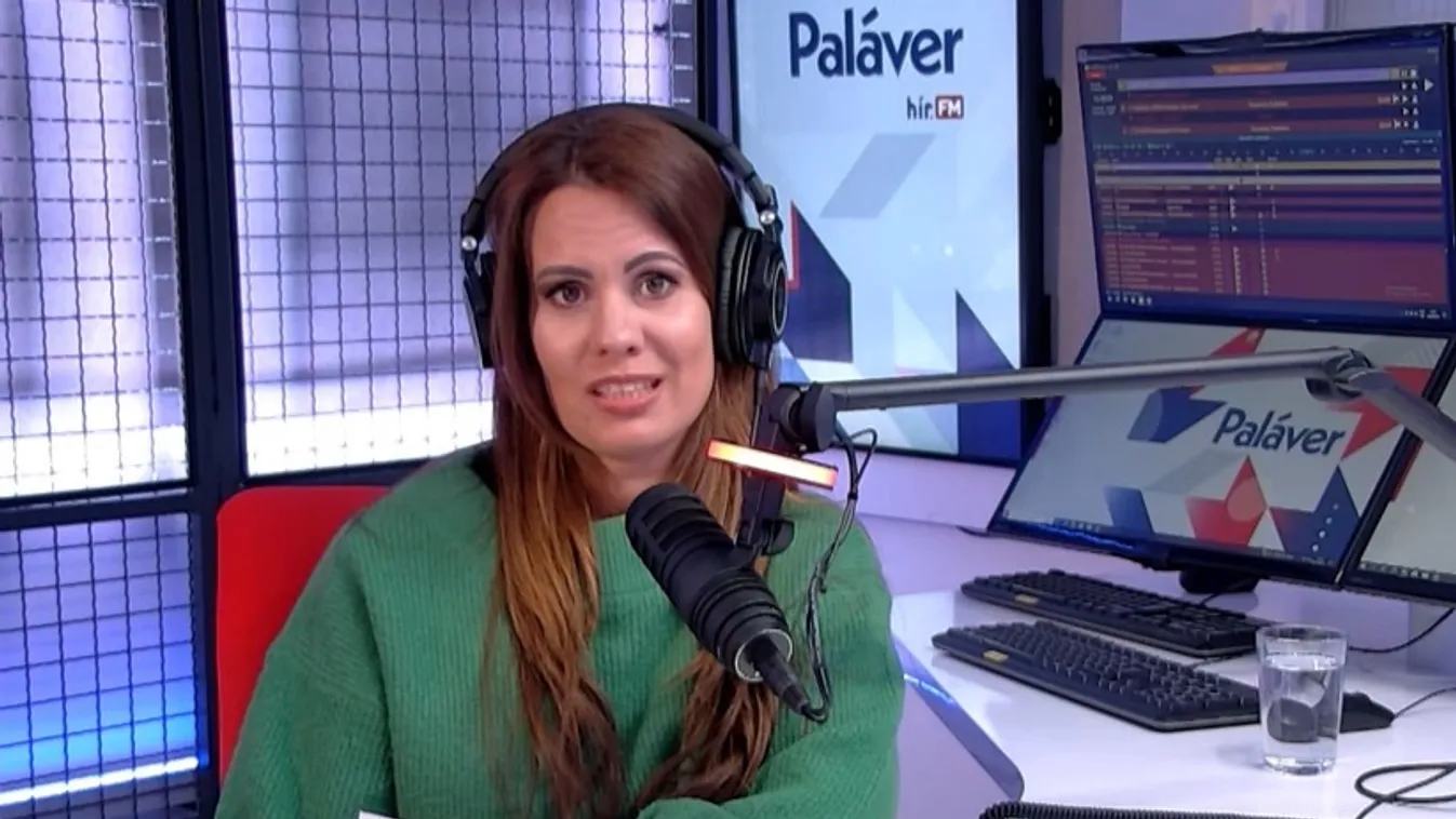 Paláver – Orbán Viktor: A progresszív liberálisok érzik a veszélyt + videó