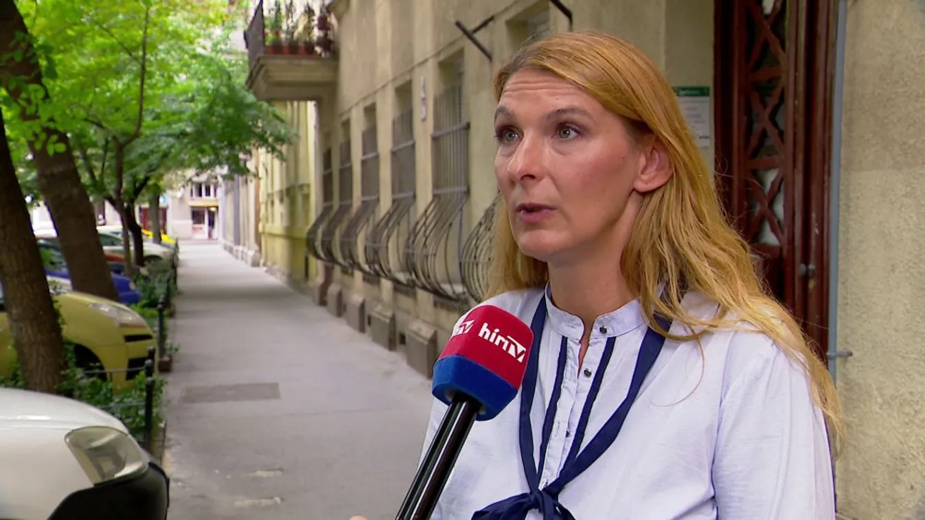 Saját jelöltet indít a ferencvárosi baloldal Baranyi ellen