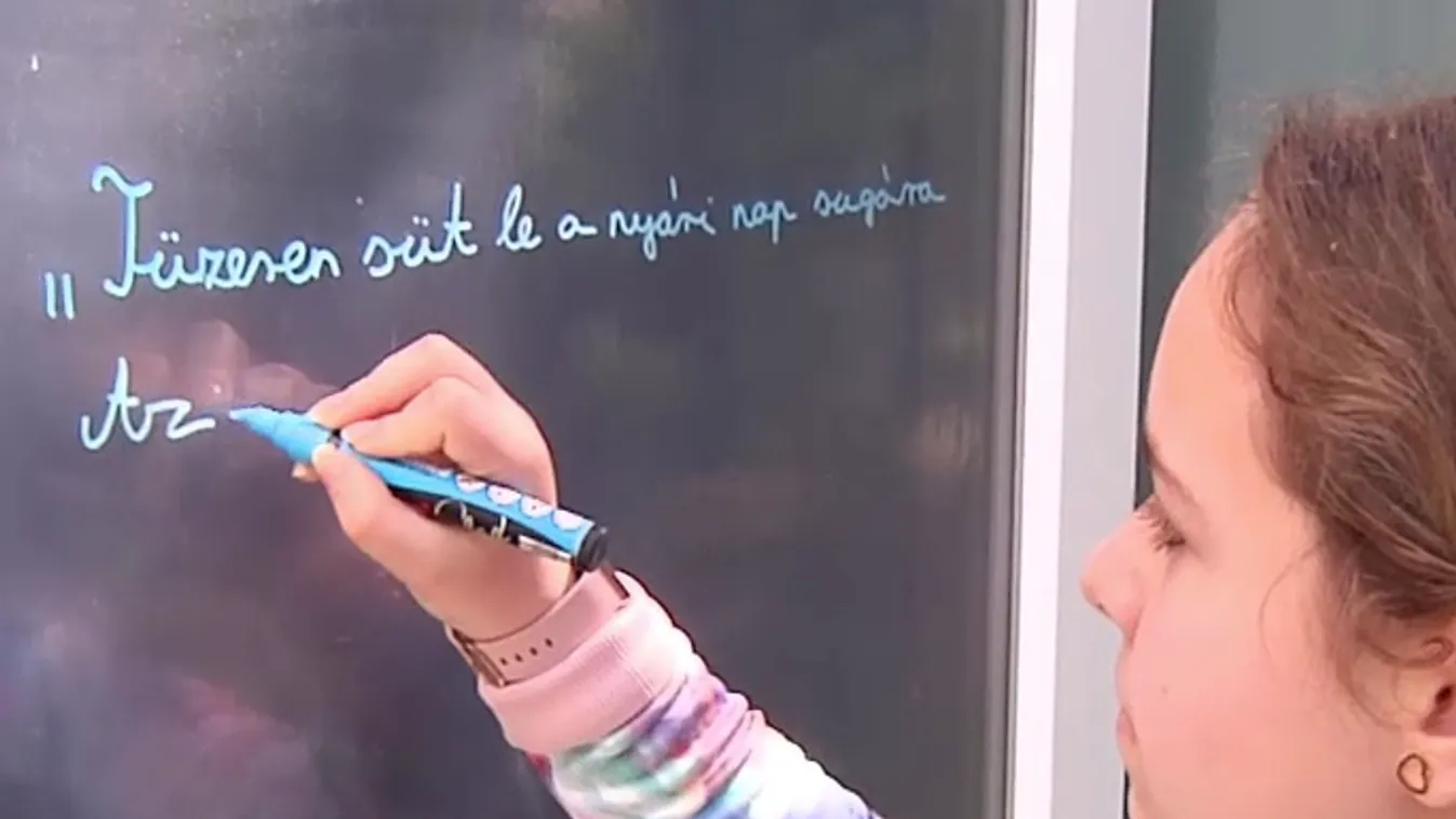 További városokban tartottak ünnepséget a Költészet Napján + videó