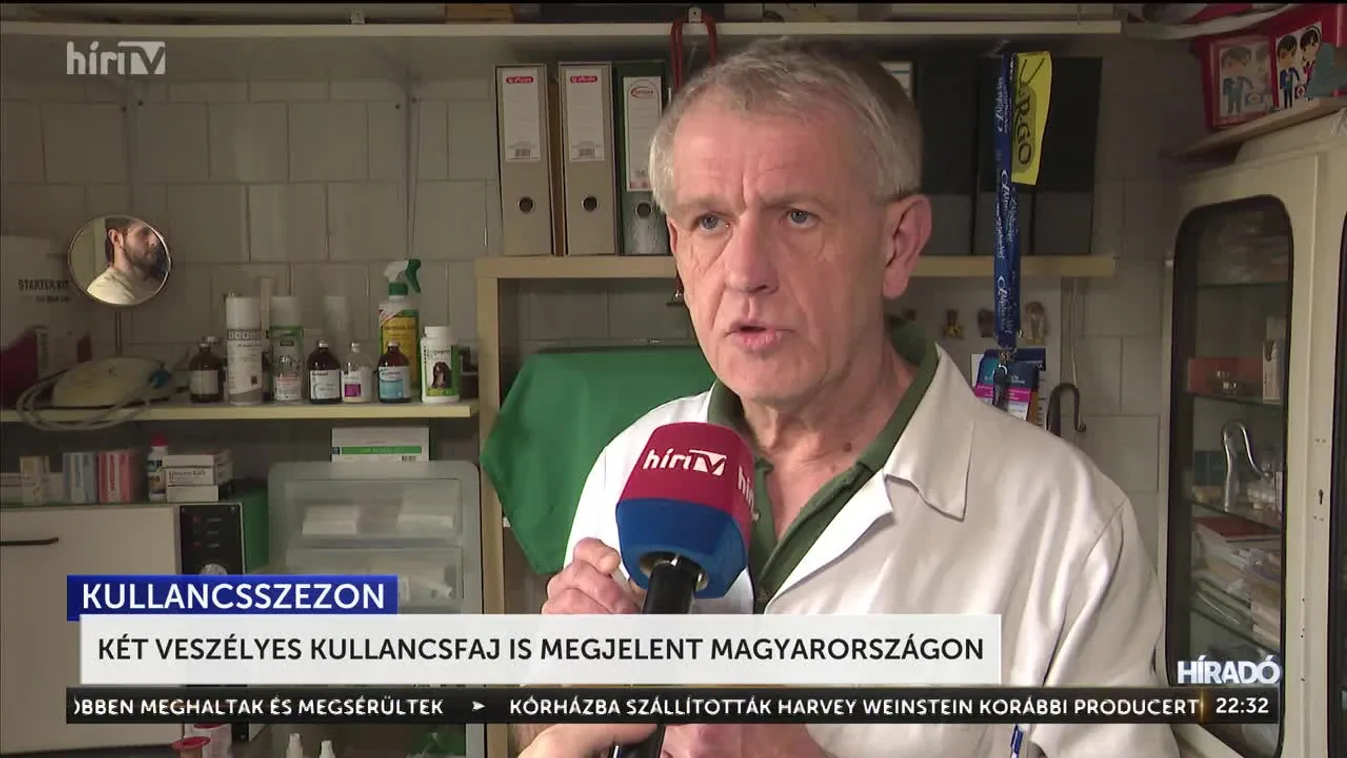 Két veszélyes kullancsfaj is megjelent Magyarországon + videó